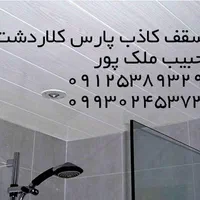 نصاب سقف کاذب سرویس بهداشتی و استخر (حبیب ملک پور)|خدمات پیشه و مهارت|کلاردشت, |دیوار
