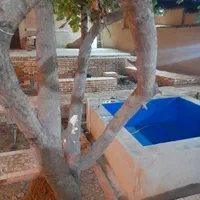 سوئیت ویلایی مرتب و تمیز|اجارهٔ کوتاه‌مدت آپارتمان و سوئیت|بهشهر, |دیوار