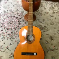 گیتار کلاسیک Hofner