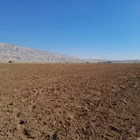 اجاره یکساله ۱۸ هکتار زمین کشاورزی با چاه آب۶ اینچ|اجارهٔ دفتر صنعتی، کشاورزی، تجاری|اندیمشک, |دیوار