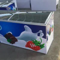 فریزر درب شیشه ابی ویترینی