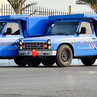 وانت تلفنی پت و مت|خدمات حمل و نقل|بندرعباس, |دیوار