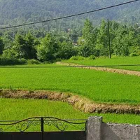 اجاره ویلا باغ درقعله رودخان فومن|اجارهٔ کوتاه‌مدت ویلا و باغ|فومن, |دیوار