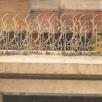 حفاظ روی دیوار بوته خاری شاخ گوزنی آکاردئونی پنجره|خدمات پیشه و مهارت|مشهد, شهرک رازی (شهرک غرب)|دیوار