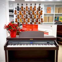 پیانو دیجیتال دایناتون حرفه ای DPS95