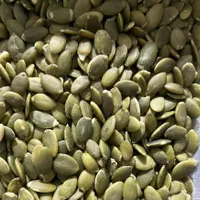 مغز کدو چینی و ایرانی روغنگیری - روغن تخم کدو|عمده‌فروشی|ری, جوانمرد قصاب|دیوار