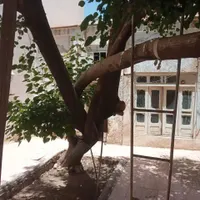 فروش خانه ویلایی ۳۱۵ متری ۵ خوابه در عباس‌آباد|فروش خانه و ویلا|اصفهان, عباس‌آباد|دیوار