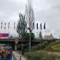 خریدار چوب هرس. برش درخت قطع درخت خرید چوب|خدمات باغبانی و درختکاری|کرج, محمد آباد|دیوار