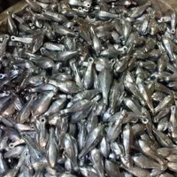 وزنه ماهیگیری|ماهیگیری|اردبیل, |دیوار