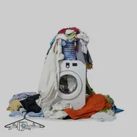 (خشک شویی) (شیک شو)