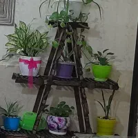 پایه گل فقط ۵۰۰ دست ساز