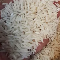 برنج طارم محلی صد درصد ایرانی|خوردنی و آشامیدنی|ملایر, |دیوار