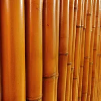 چوب بامبو های صادراتی قطر۵سانت|صنایع دستی و سایر لوازم تزئینی|تهران, هفده شهریور|دیوار