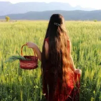 فروش مو خرید مو