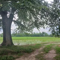 زمین مسکونی ۴۰۰متر سنگر سراوان کچا جوکلبندان گلسرک