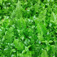 گرین وال گرینوال مصنوعی ۵۰ در ۵۰ دپو|گل مصنوعی|شیراز, اصلاح‌نژاد|دیوار