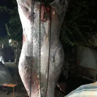 (قصاب سلاخ سیار)گوساله گاو گوسفند در کل تهران|خدمات پذیرایی، مراسم|تهران, هاشمی|دیوار