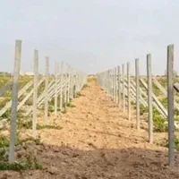 پایه انگور تیرچه انگور تیرچه پایه ستون پایه فنس|عمده‌فروشی|تهران, شهرک طالقانی|دیوار