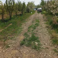 زمین‌‌باغی|فروش زمین و ملک کلنگی|چناران, |دیوار