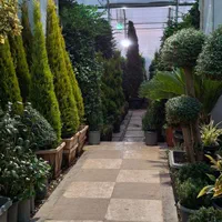 باغبانی هرس درخت گل ،چمن،سم پاشی،کودضمانت باغبان|خدمات باغبانی و درختکاری|کرج, گلشهر|دیوار