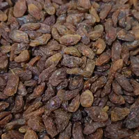 کشمش آفتابی/خوراکی/آبگیری/سایه خشک