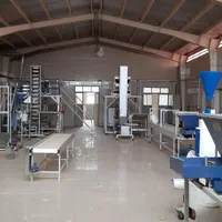رهن واجاره کارخانه بسته بندی موادغذایی