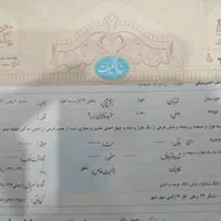 2 دونگ از 6 دونگ هست مهرشهر فاز 6|فروش زمین و ملک کلنگی|اهواز, نبوت|دیوار