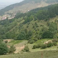 زمین بافت ویلایی منطقه اعیان نشین پلاک یک جنگل|فروش زمین و ملک کلنگی|کلاردشت, |دیوار