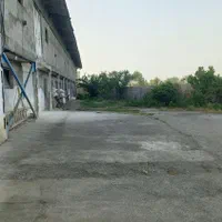 فروش مرغداری ۲۰ هزاری آماده به کار نزدیک رشت|فروش دفتر صنعتی، کشاورزی، تجاری|رشت, لاکان|دیوار