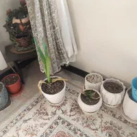 وسایل منزل|حراج|تهران, ائمه اطهار|دیوار