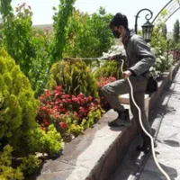باغبانی ،هرس،درختان رودهن،مهراباد،دماوند|خدمات باغبانی و درختکاری|پردیس, |دیوار