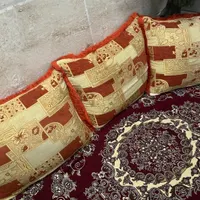 پشتی سالم در حدنو