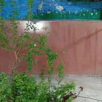 اجاره ویلا در باغبهادران. باغبادران.باغ بهادران|اجارهٔ کوتاه‌مدت ویلا و باغ|لنجان, |دیوار