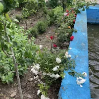 پنج هزارمتر زمین گلبهار ویلایی تحویل ششدانک|فروش زمین و ملک کلنگی|مشهد, آبکوه|دیوار