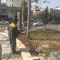فضای سبز شهرداری