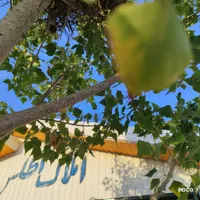 182 متر زمین ویلایی اطراف تهران با اجازه ساخت|فروش زمین و ملک کلنگی|تهران, تهرانپارس شرقی|دیوار