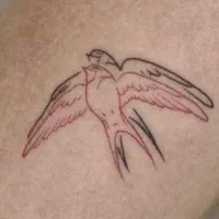 تتوی بدن فقط خانم