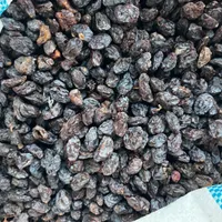 کشمش آفتابی|خوردنی و آشامیدنی|اسلام‌شهر, |دیوار