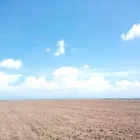 یک قطعه زمین کشاورزی باغی ۱۰۰۰ متری