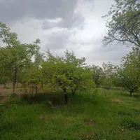 فروش باغ به متراز هزارو پونصد متر در کندلج|فروش خانه و ویلا|مرند, |دیوار