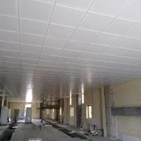 سقف کاذب دیوار پوش کاغذ دیواری سنگ آنتیک کف کاذب|خدمات پیشه و مهارت|اهواز, سپیدار|دیوار