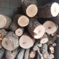 خرید و فروش انواع چوب|خدمات باغبانی و درختکاری|شیراز, گویم|دیوار