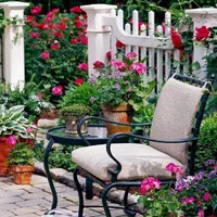 فروش گل گیاه خدمات طراحی فضای سبز باغبانی|خدمات باغبانی و درختکاری|تهران, شهرک غرب|دیوار