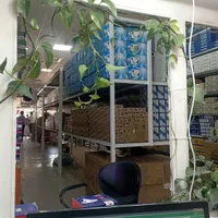 انواع چراغ های دیواری سلطنتی|لامپ و چراغ|مشهد, رستگار|دیوار