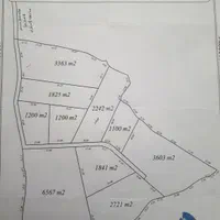 زمین کشاورزی نی|فروش دفتر صنعتی، کشاورزی، تجاری|مریوان, |دیوار