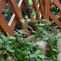 اجاره صندلی و تخت در سالن زیبایی درجه یک