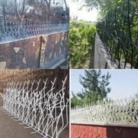 حفاظ روی دیوار بوته خاری شاخ گوزنی آکاردئونی پنجره