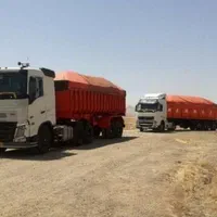 کود حیوانی گوسفندی و گاوی یک ساله کشت یونجه