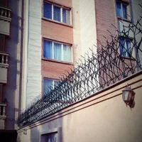 اهن الات نرده حفاظ گوزنی دزدگیر ا بوته ای|مصالح و تجهیزات ساختمان|شیراز, شهرک گلدشت حافظ‎|دیوار