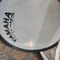 تبل